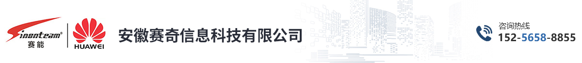 安徽赛奇信息科技有限公司